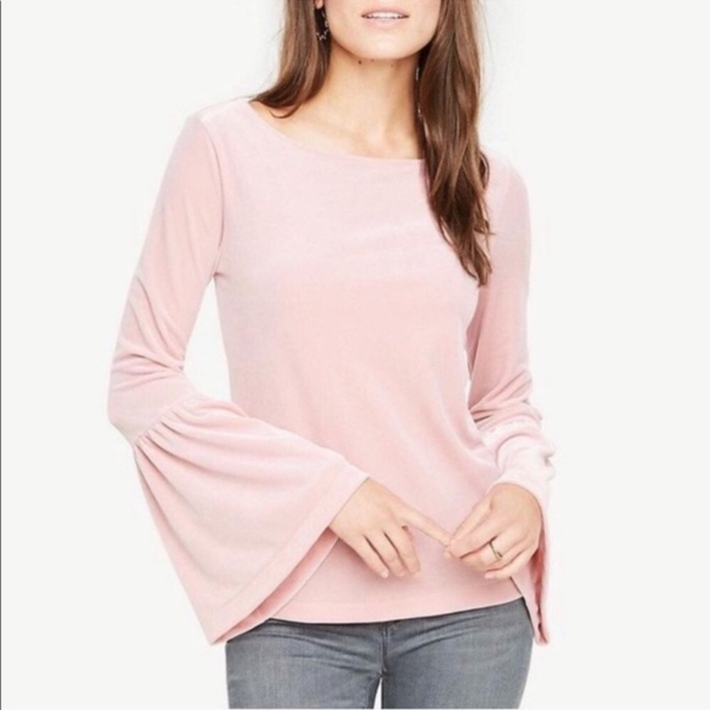 Ann Taylor Pink Velvet Bell Sleeve Top